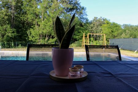 IMG_8283